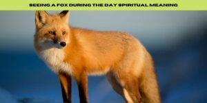 seeing a fox during the day spiritual meaning