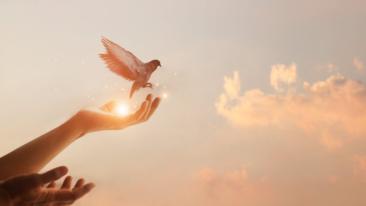 Unlock Your Psychic Potential: Signs for Psychic Development