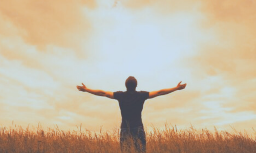 True Future Learn Light Language