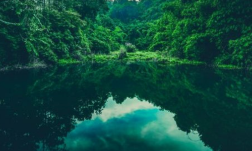 Tools for Choice Bundle