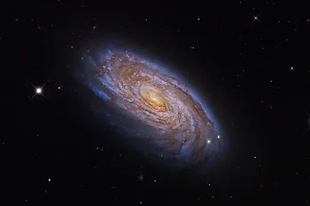 11th Nov Free Livestream Channeling Event