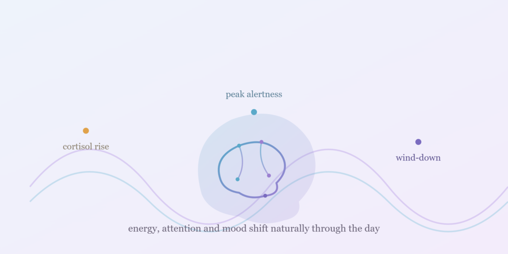 Science of meditation timing