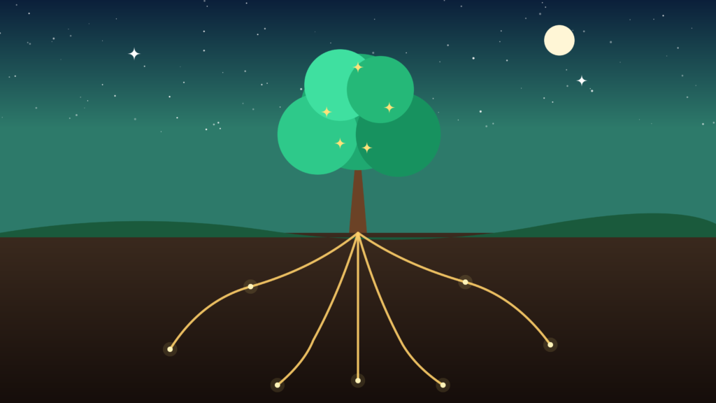 How to Explore Starseed Ideas in Everyday Life