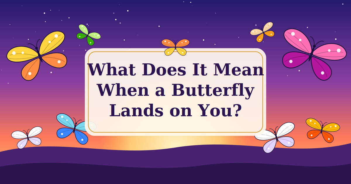 What Does It Mean When a Butterfly Lands on You?