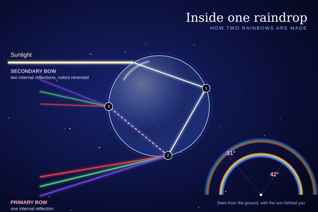 How a Double Rainbow Forms