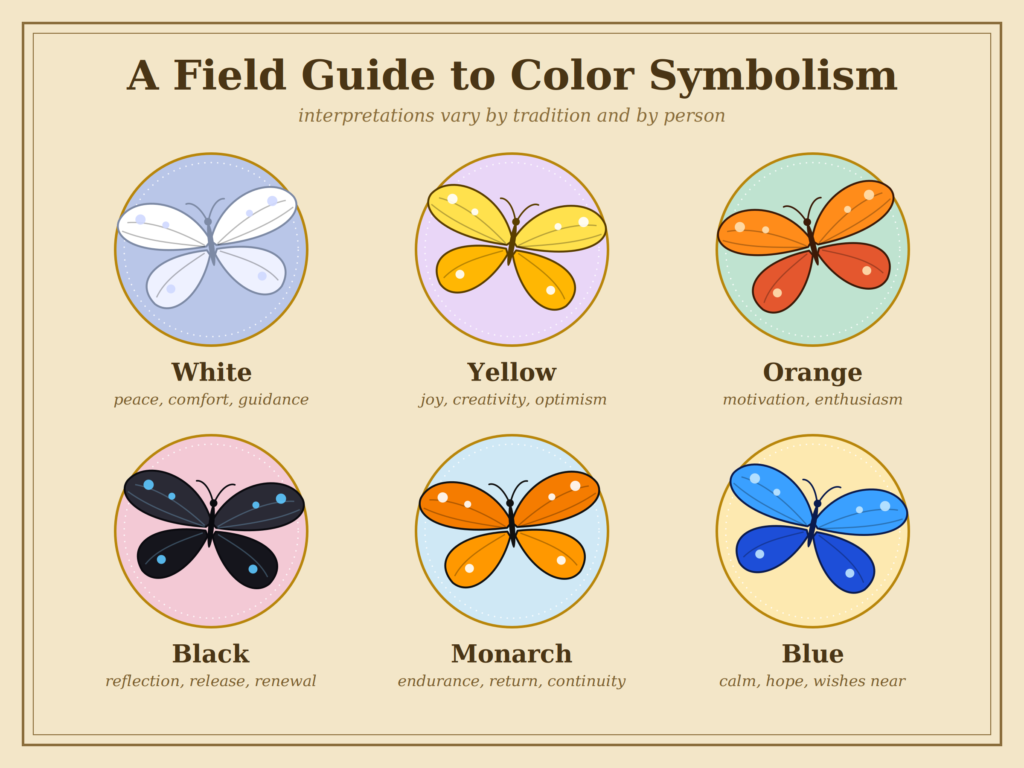 What the Color of the Butterfly Can Signify