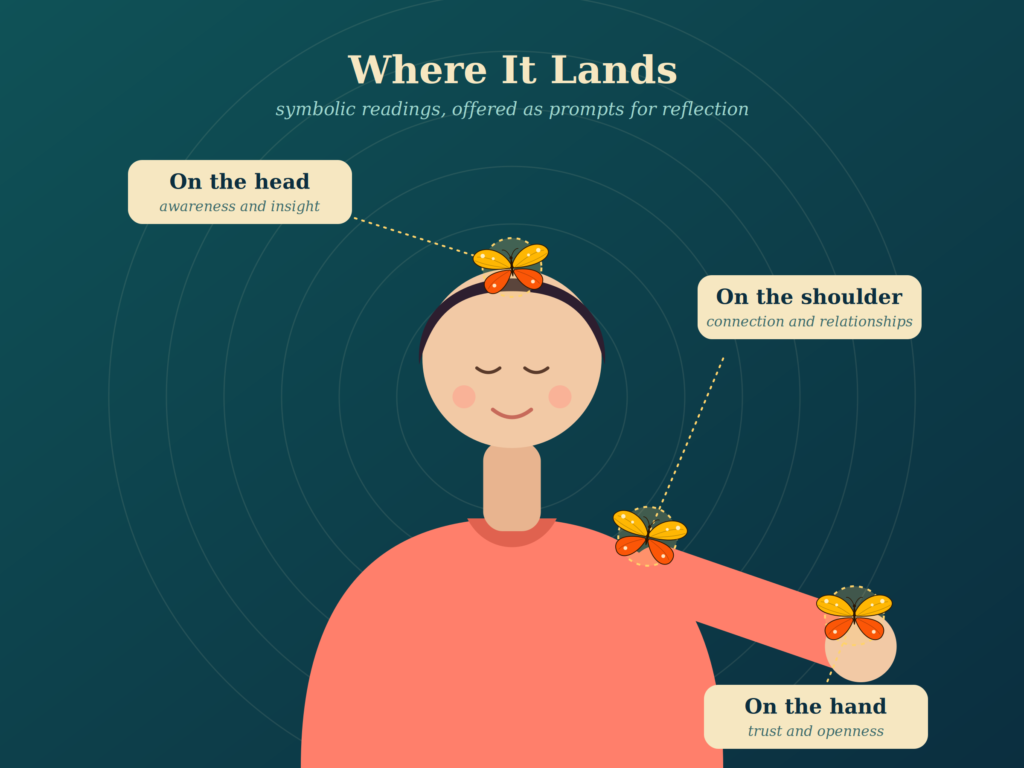 Does Where the Butterfly Lands Matter?